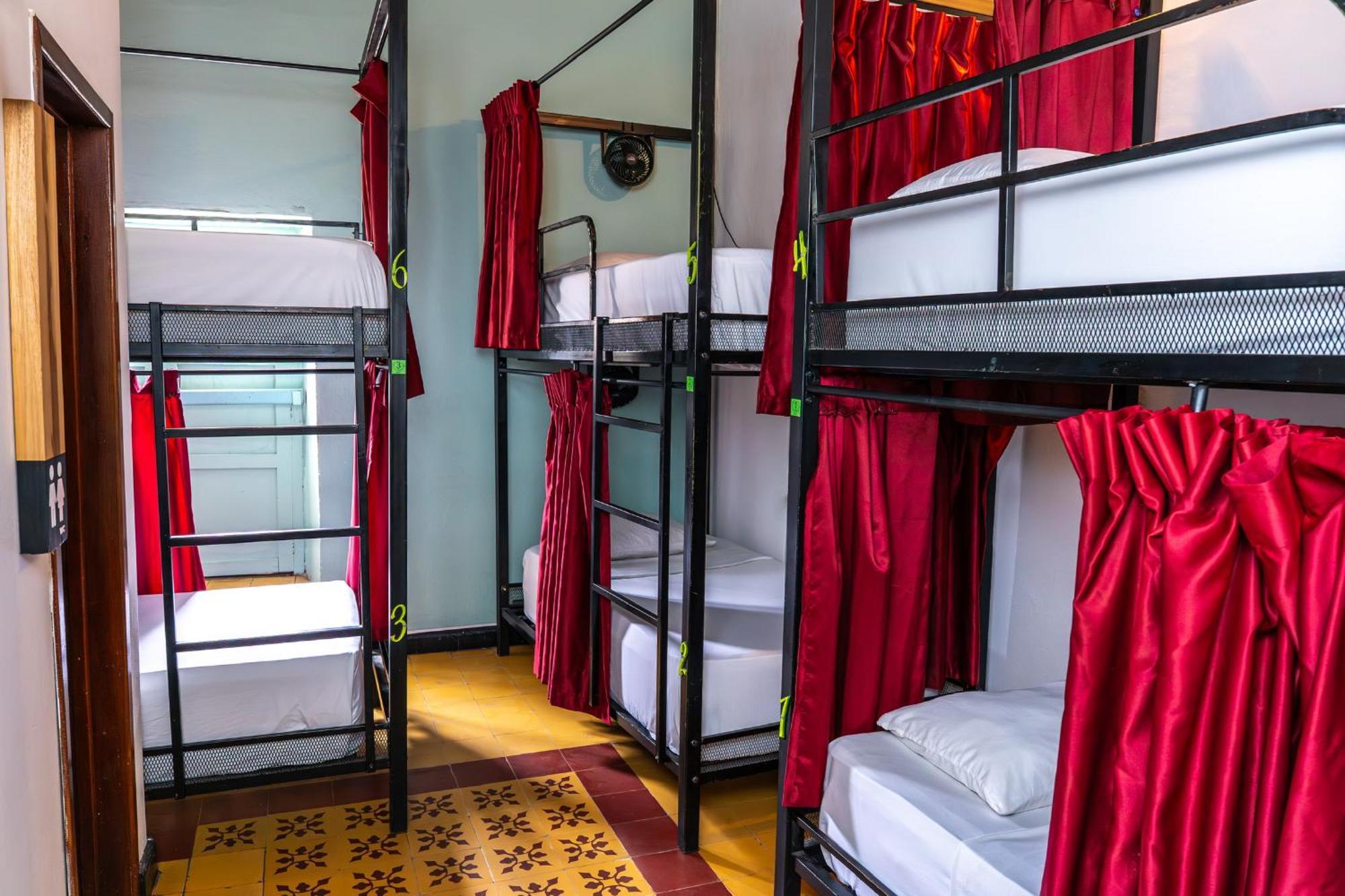 Hostel Traveler