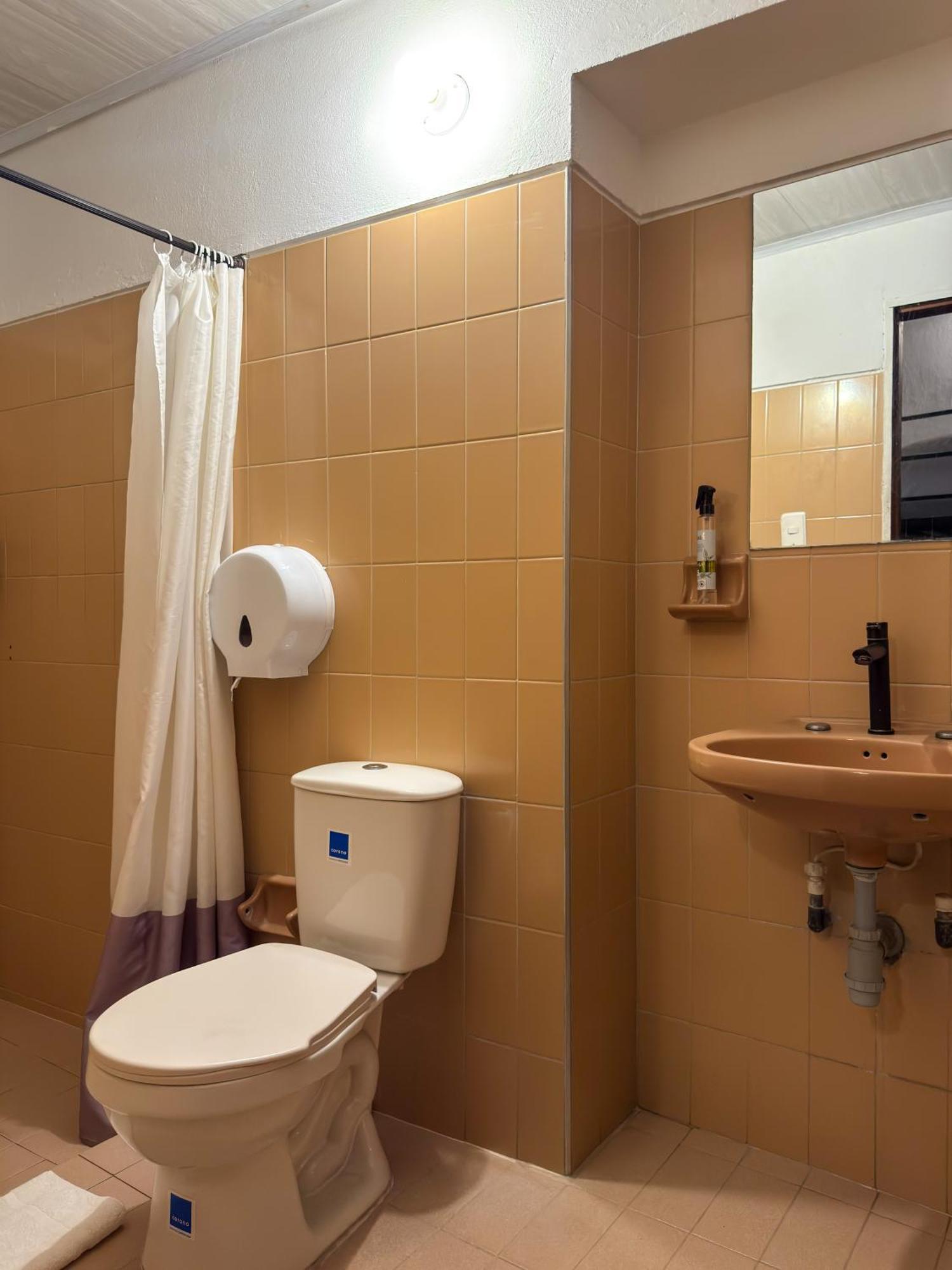 Auberge de jeunesse Traveler *